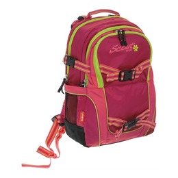 Рюкзак Backpack Skate-2